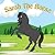 Sarah The Horse