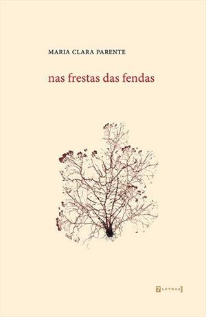 Nas frestas das fendas