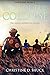Tales of the Collapse: a dy...