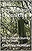 The Leprechaun Chronicles Vol. 1 Willow's Journey for the Truth by Courtney McMillan