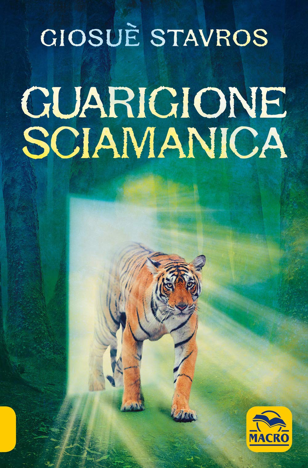 La guarigione sciamanica (Paperback)