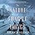 The Nature of Fragile Things by Susan Meissner