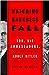 Watching Darkness Fall: FDR, His Ambassadors, and the Rise of Adolf Hitler