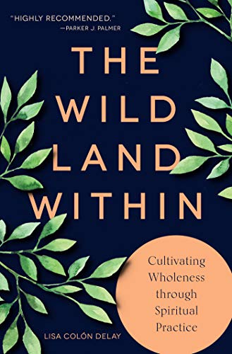 The Wild Land Within: Cultivating Wholeness through Spiritual Practice (Kindle Edition)