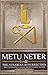 Metu Neter, Vol. 4: The Aus...
