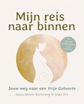 Mijn reis naar binnen (Paperback)