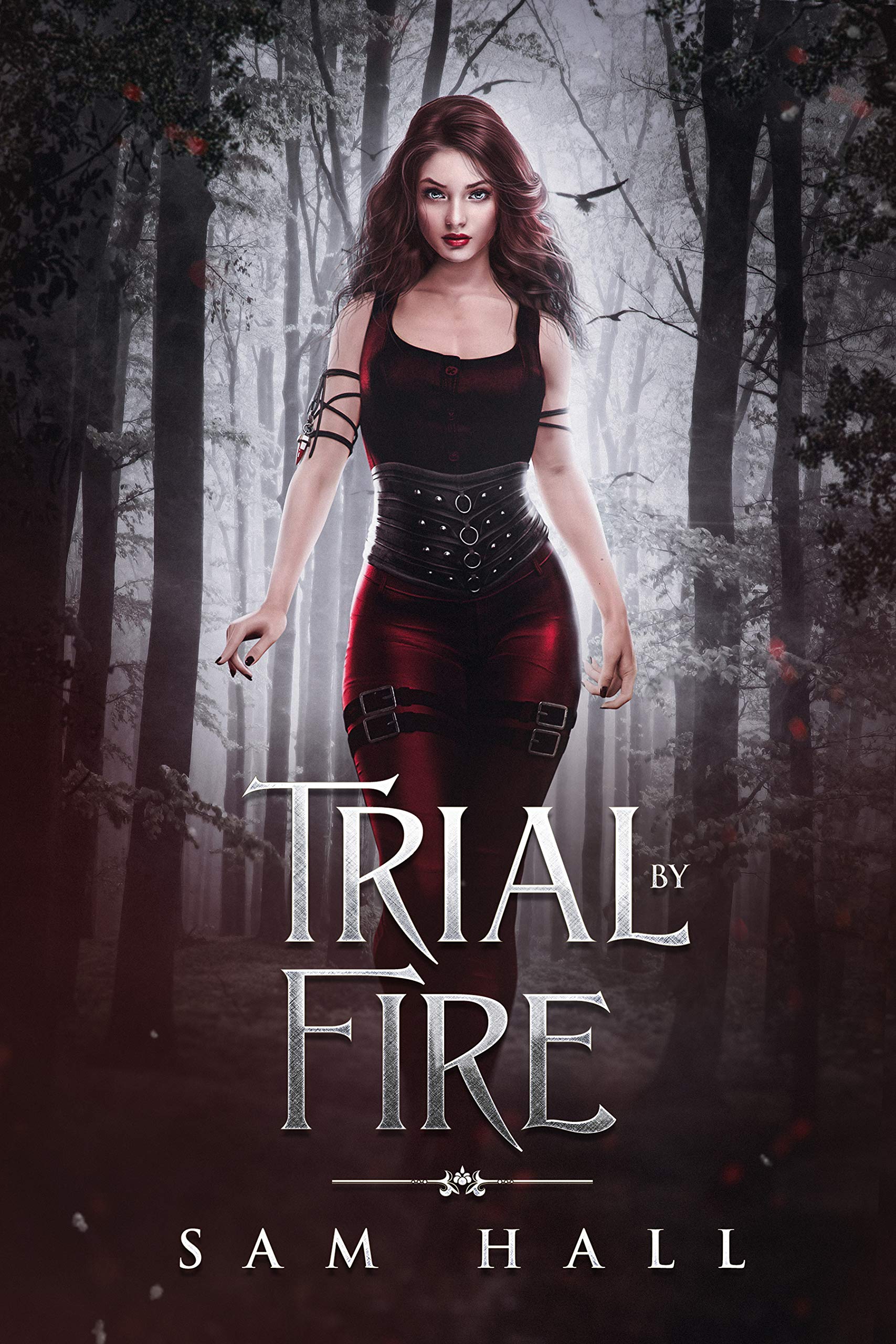 Trial by Fire (Get Your Rocks Off, #5)