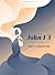 John 1-3 - Bible Study Book...