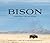 Bison Portrait of an Icon (Wild in the West) by Chase Reynolds Ewald