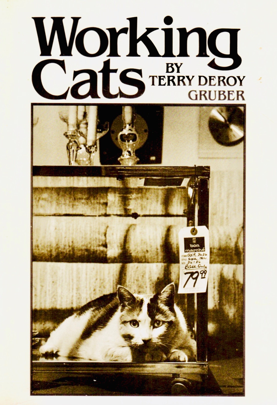 Working cats (Paperback)