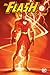 The Flash by Geoff Johns Omnibus Vol. 2