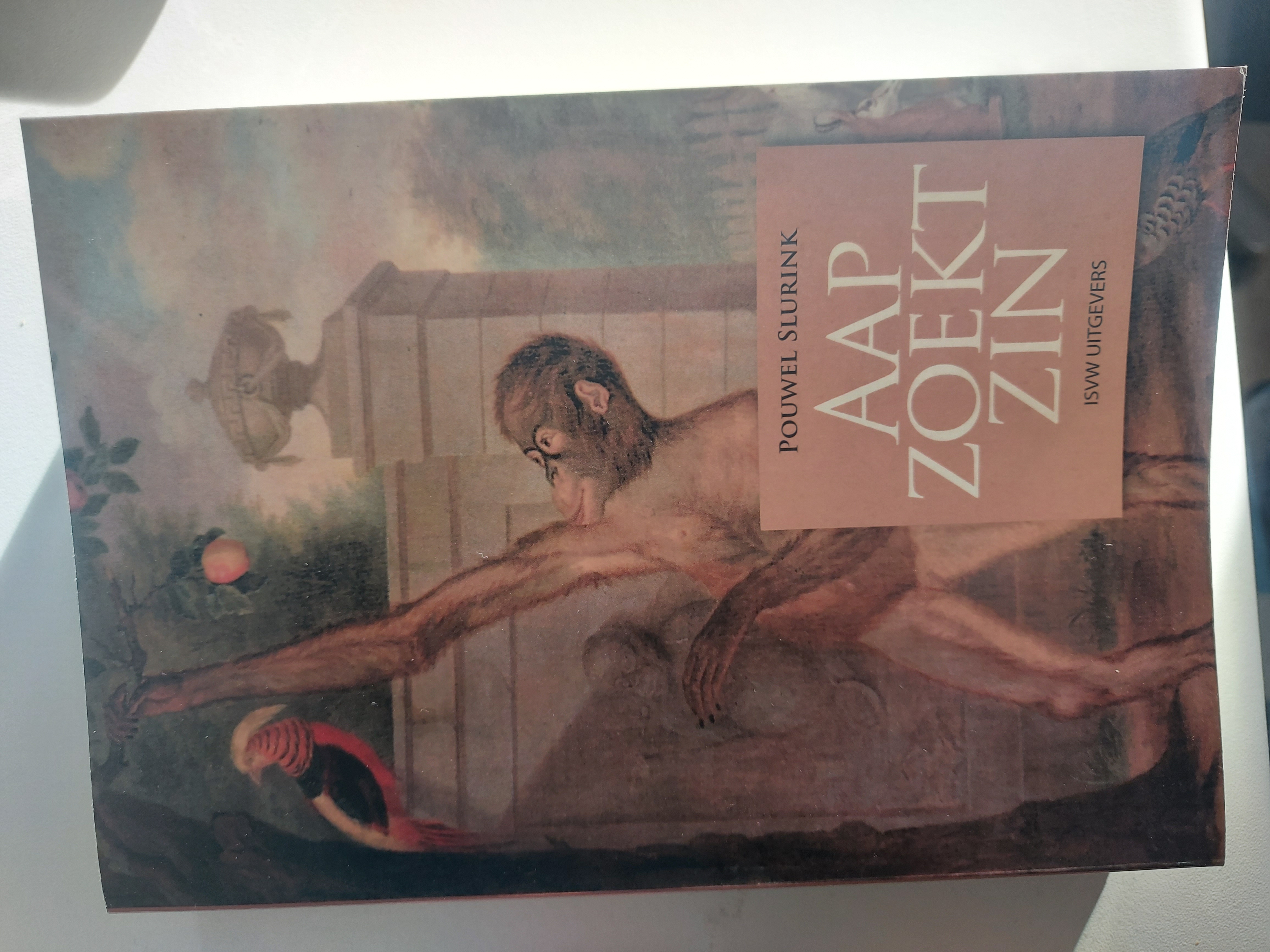 Aap Zoekt Zin