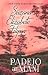 Padejo ar mani by Susan Elizabeth Phillips