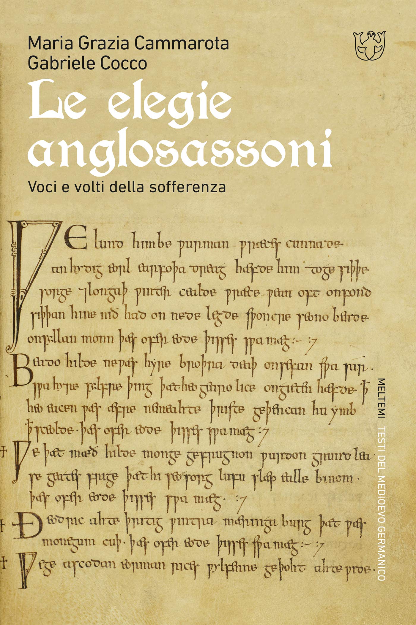 Le elegie anglosassoni: Voci e volti della sofferenza (Italian Edition)