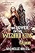 In the Tower of the Wizard King (Age of Wizards Duology Book 1)