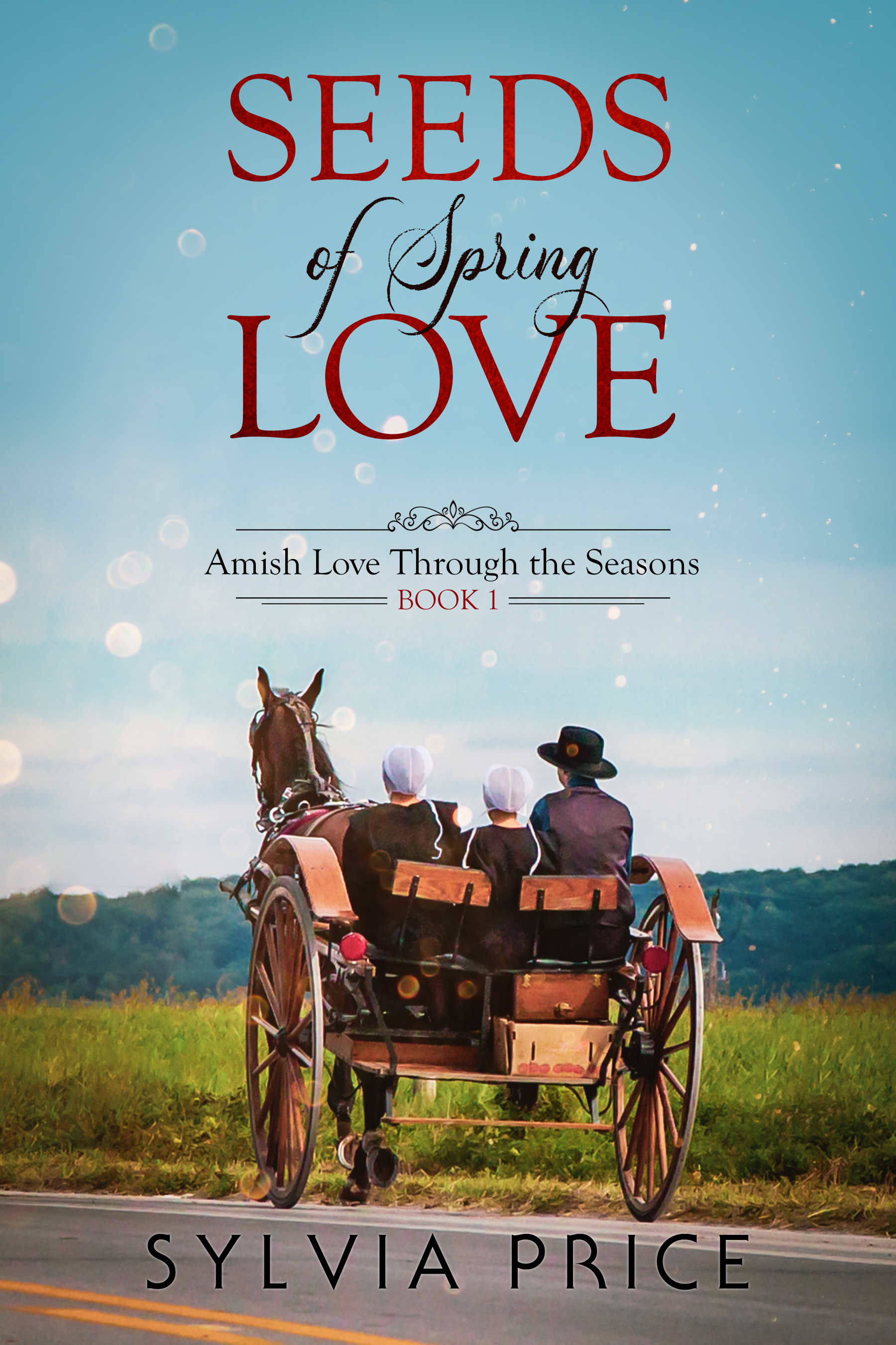 Seeds of Spring Love (Amish Love Through the Seasons #1)