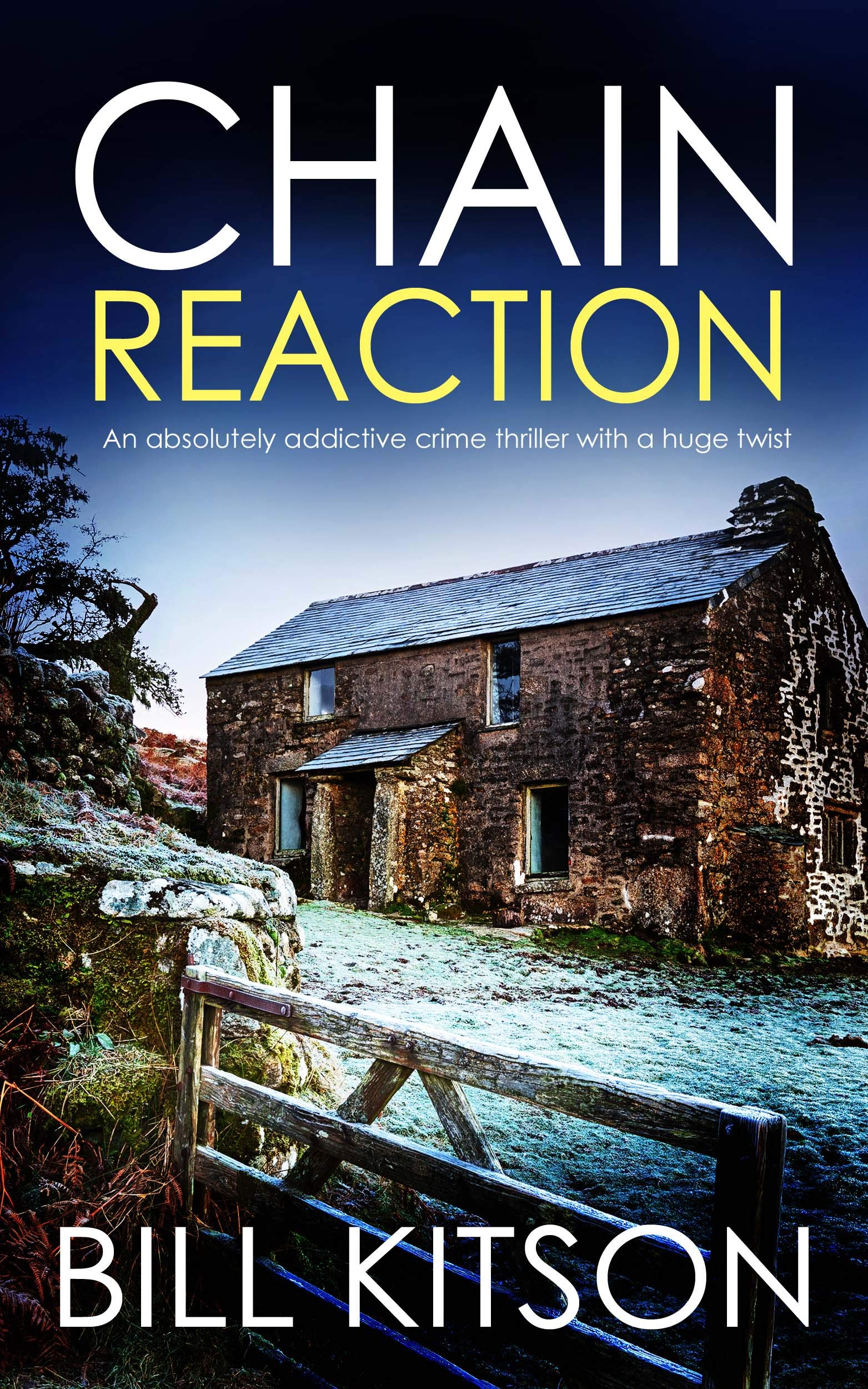 Chain Reaction (DI Mike Nash, #12)