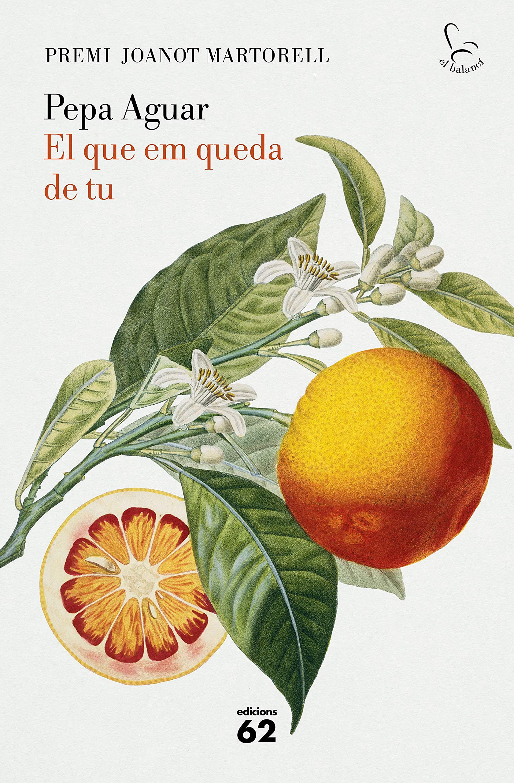 El que em queda de tu (Kindle Edition)