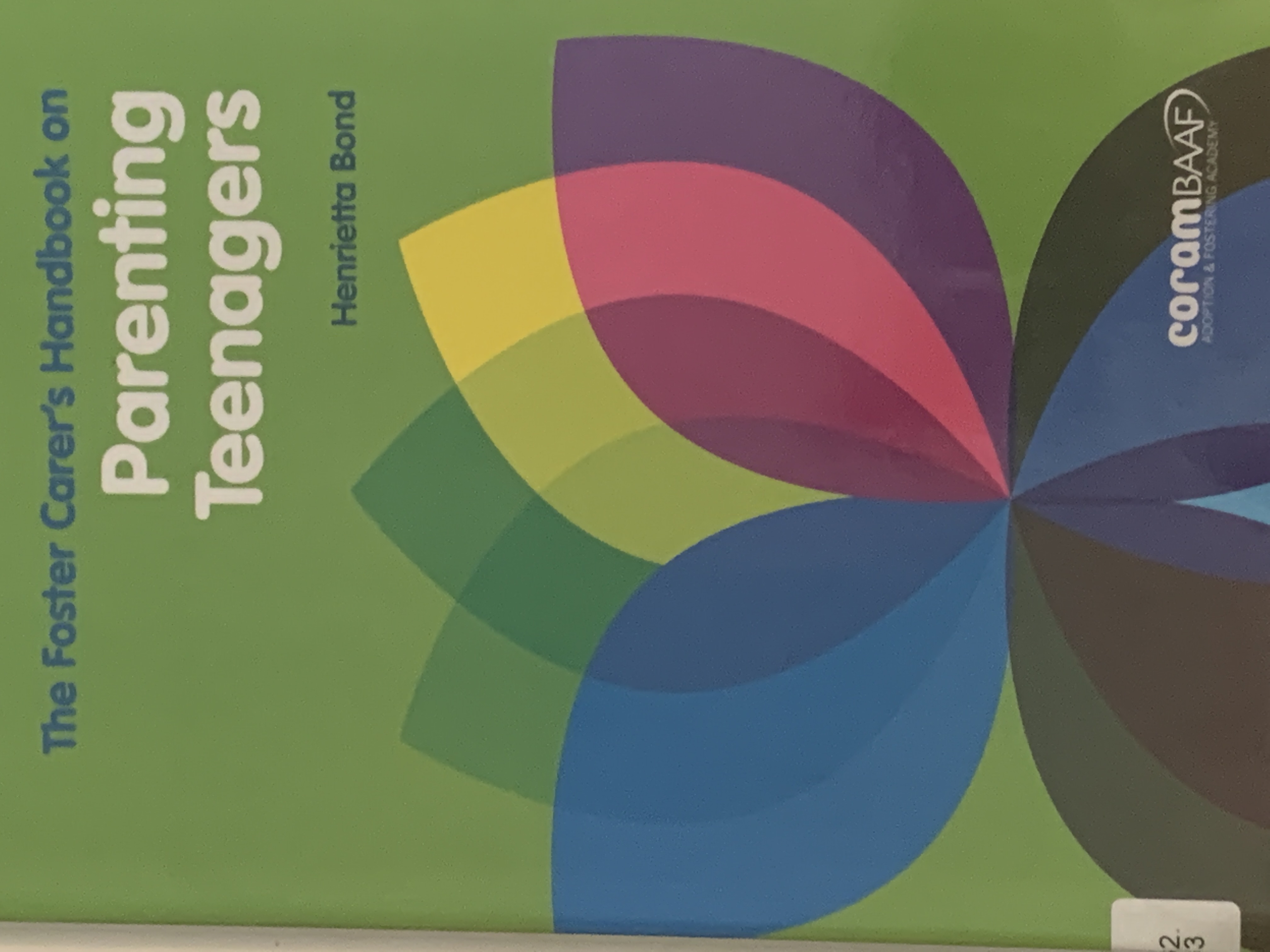 The Foster Carer’s Handbook on Parenting Teenagers