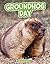 Groundhog Day (Traditions & Celebrations)