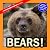 Bears! by My Incredible World