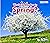 What Can You See in Spring? (Seasons)