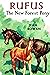 Rufus: The New Forest Pony