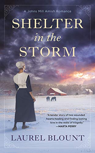 Shelter in the Storm (Johns Mill Amish Romance #1)