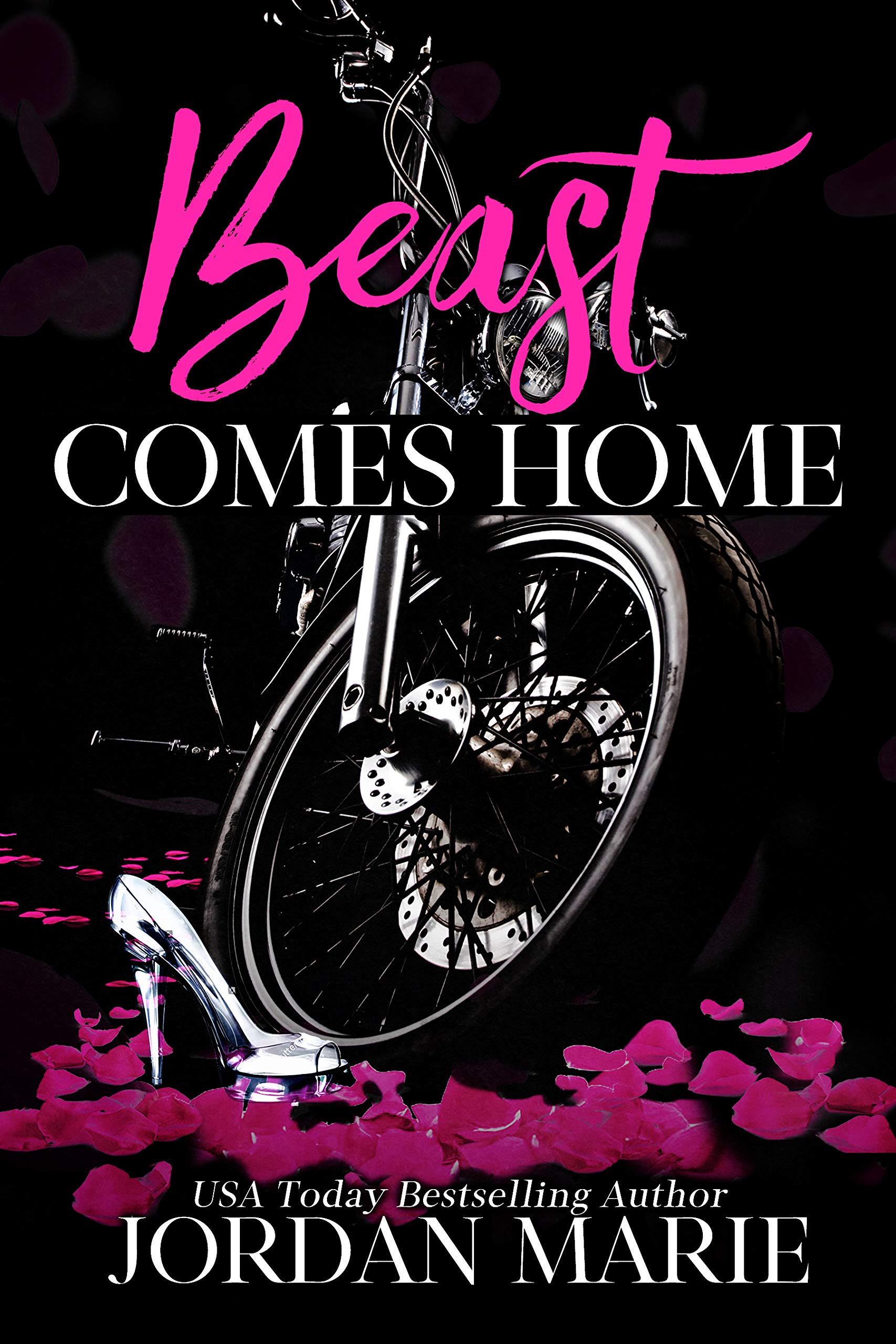 Beast Comes Home (Devil's Blaze MC, #9)