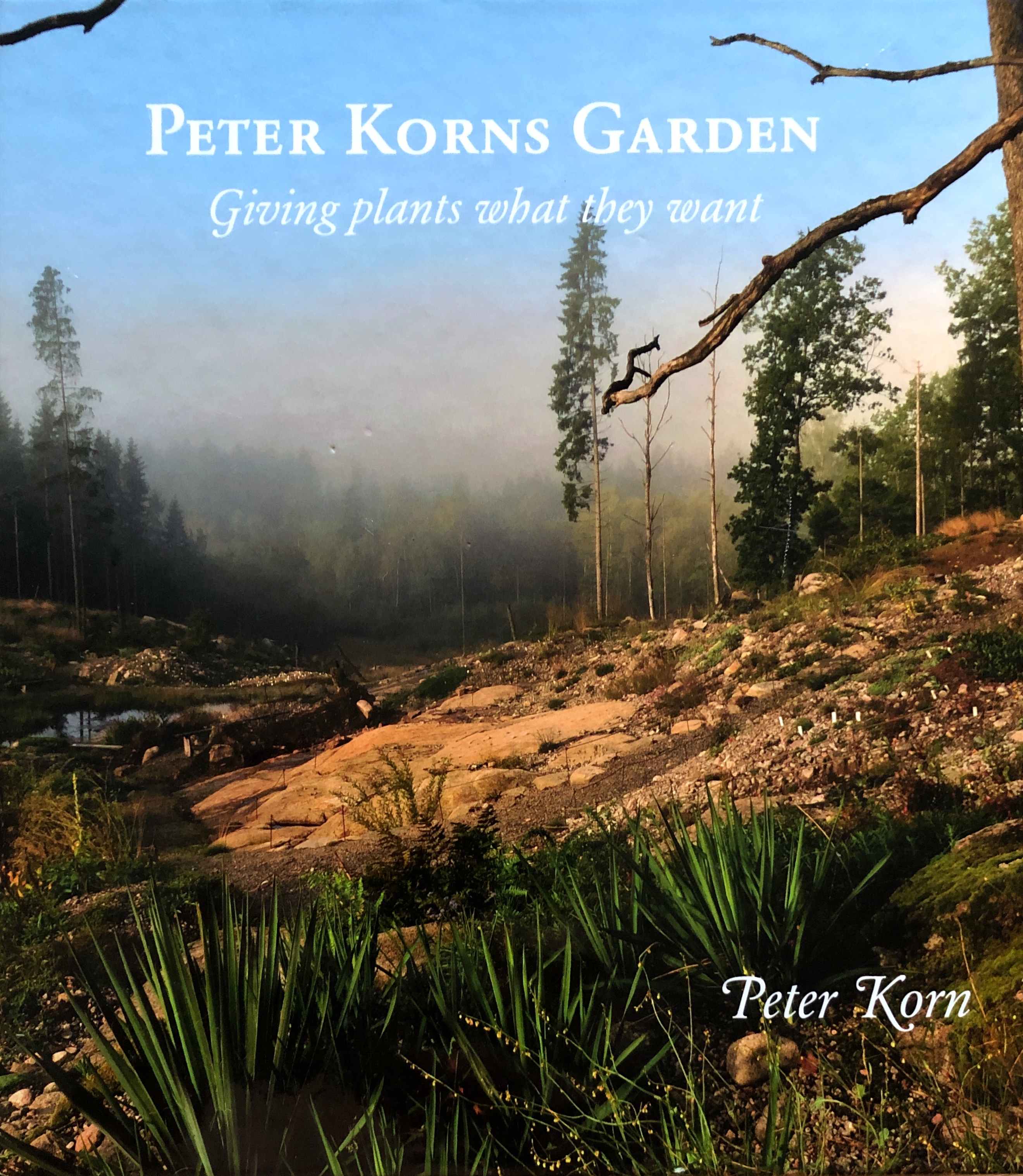 Peter Korn's Garden