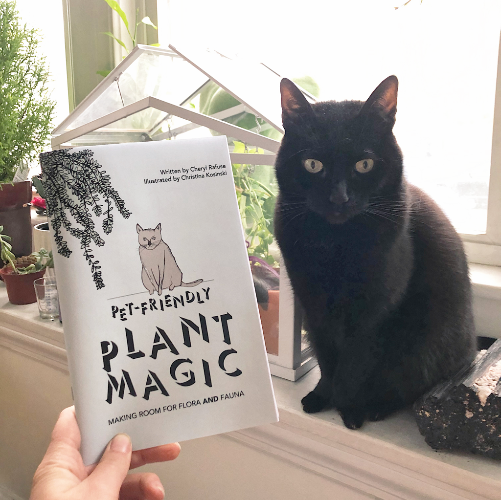 Pet-Friendly Plant Magic: Making Room for Flora And Fauna