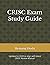 CRISC Exam Study Guide