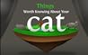 10 Things Worth Knowing about Your Cat