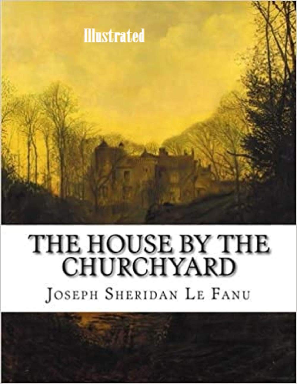 The House by the Church-Yard Illustrated