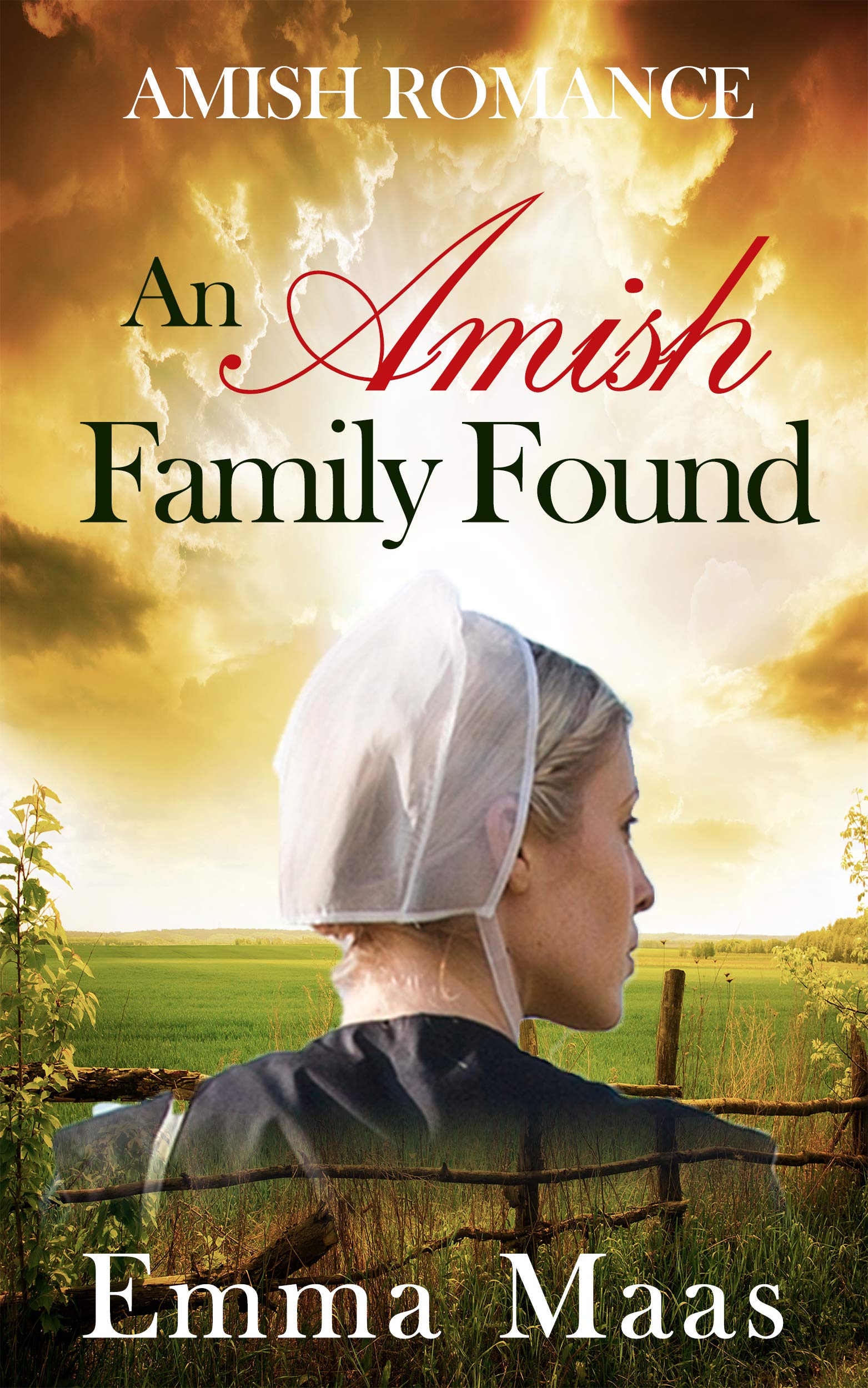 An Amish Family Found (Kindle Edition)