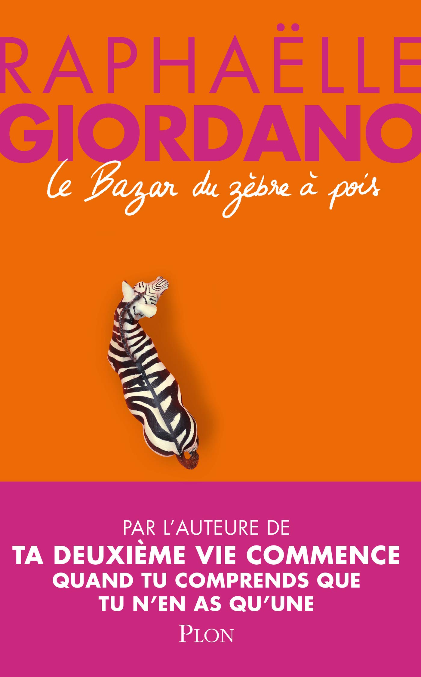 Le bazar du zèbre à pois (Kindle Edition)