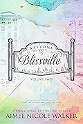Welcome to Blissville - Volume Two