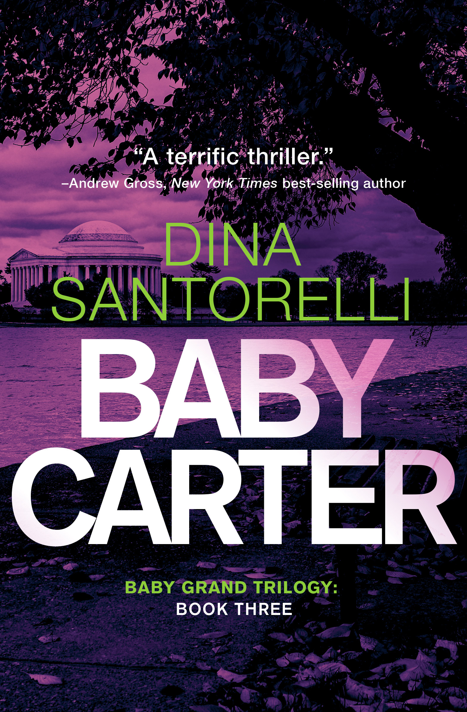 Baby Carter (Baby Grand #3)