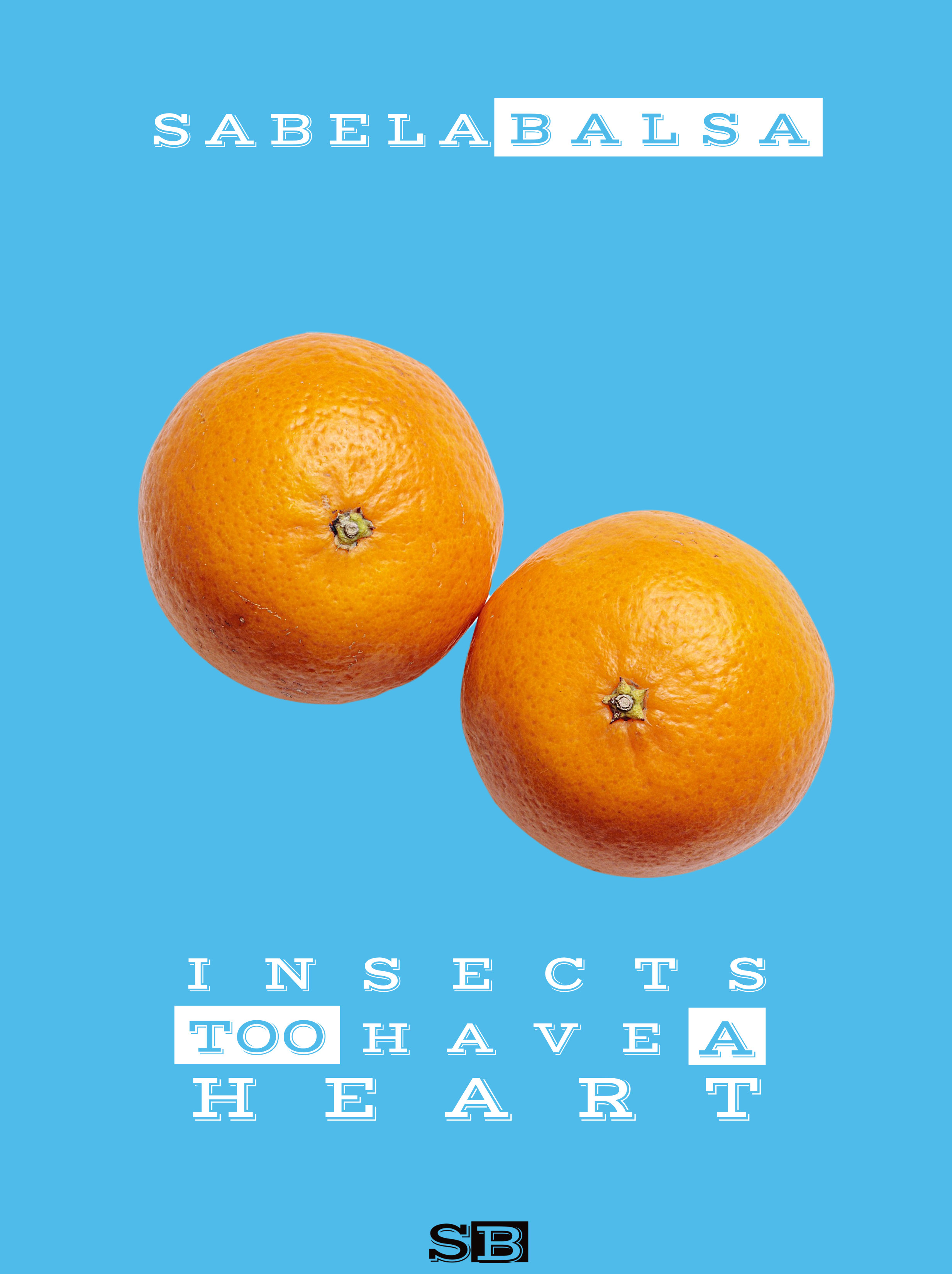 Insects too have a heart