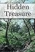 Hidden Treasure