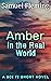 Amber in the Real World