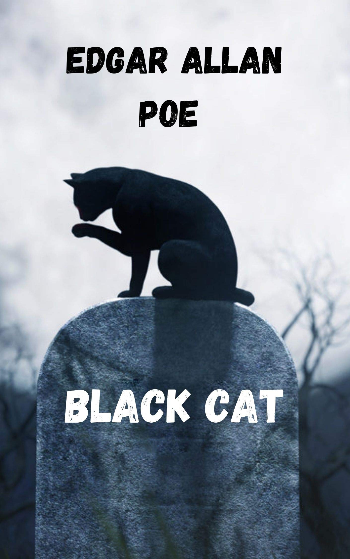 Black cat