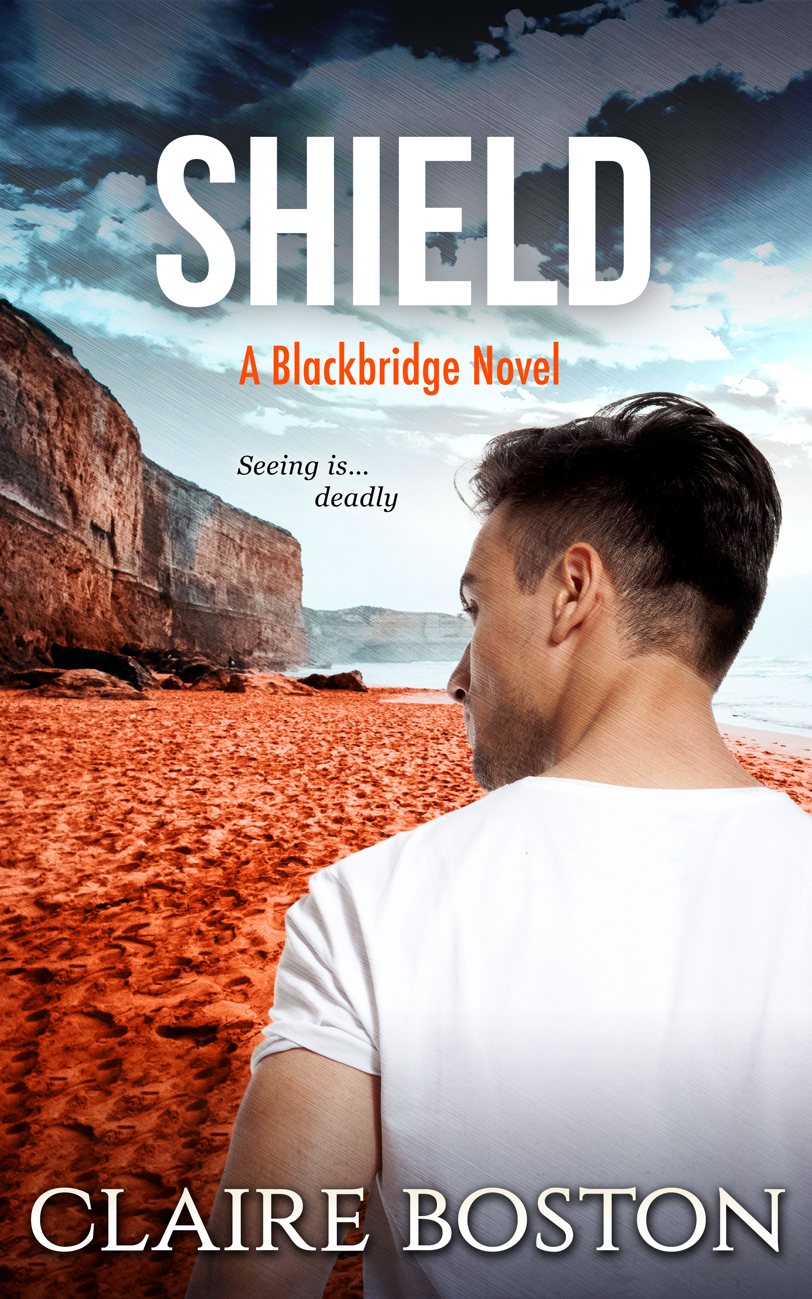 Shield (Blackbridge, #6)