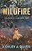Wildfire (The Broken Bow)