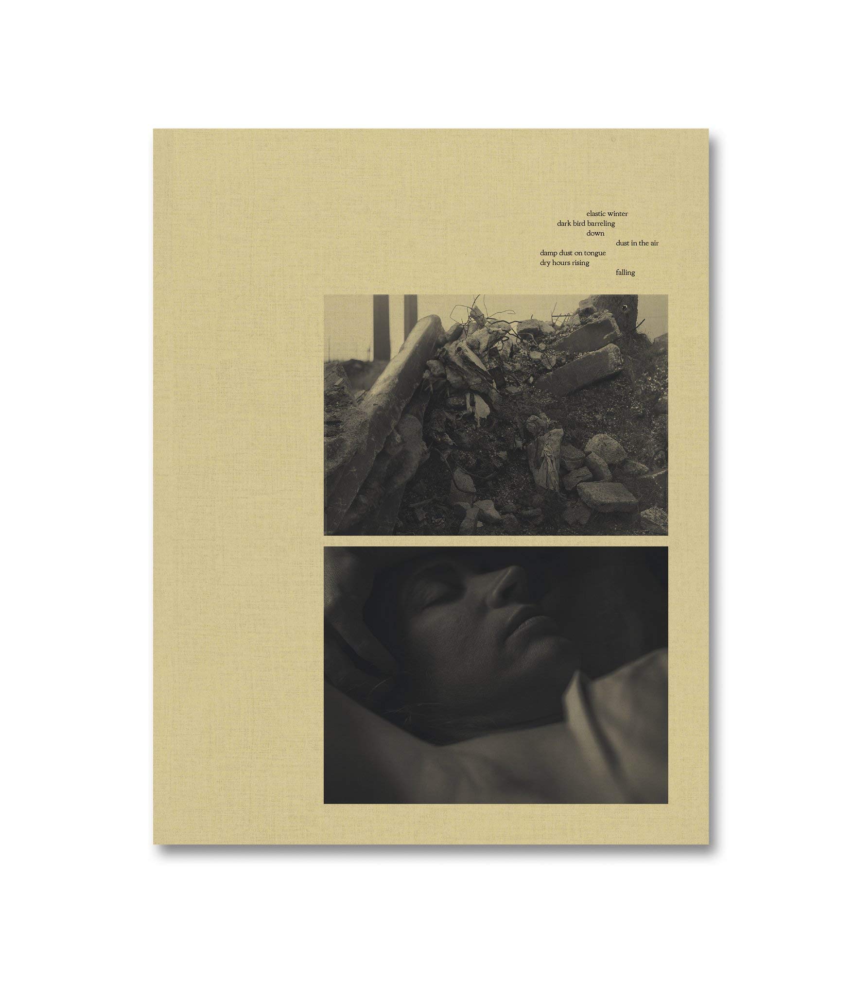 CIPRIAN HONEY CATHEDRAL (Hardcover)