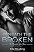 Beneath the Broken (Dangerous Love)