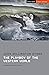 The Playboy of the Western World by J.M. Synge