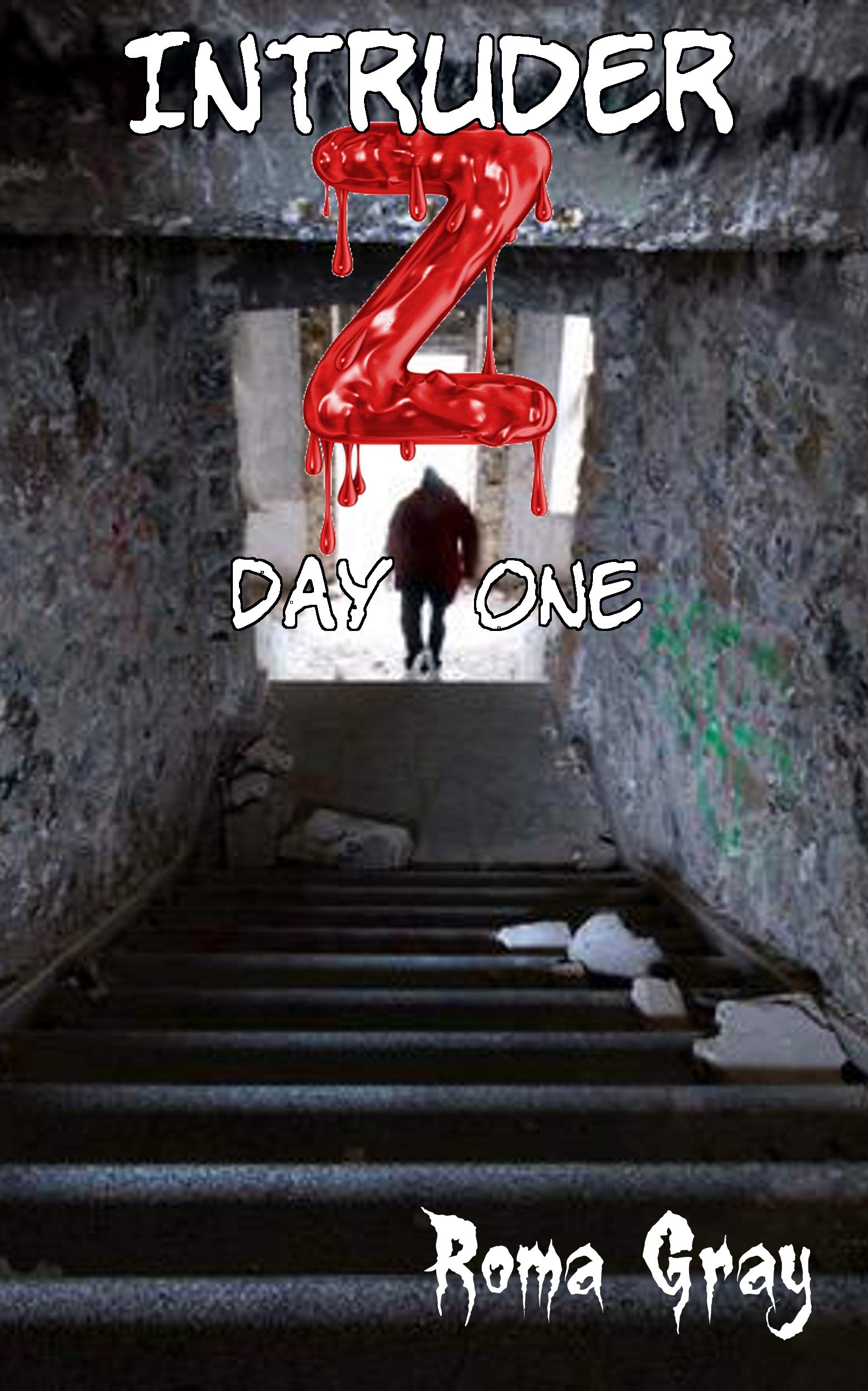 Intruder Z: Day 1 (Night Sky Presents Book 4)