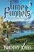 Time Funnels: The Accidental Journey