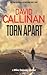 Torn Apart (Mike Delaney thriller)